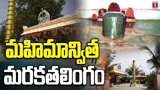 Special Story on Marakatha Shiva Lingam Temple  Chandipp Village Shankarpally T News [upl. by Elrod142]