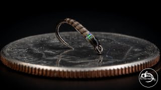 Cheat Code MIDGE Nymph  Overachiever Midge  Fly Tying Tutorial [upl. by Lithea]