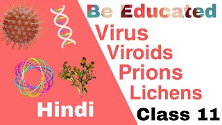 Virus viroids and lichens  prions  class 11 Biological classification  Be Educated [upl. by Daffie]