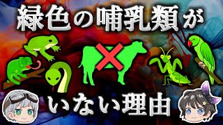 【ゆっくり解説】熱帯の生物はなぜカラフルなのか？ [upl. by Dotty]