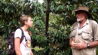 Growing Durian on the Tatura Trellis [upl. by Iliak836]