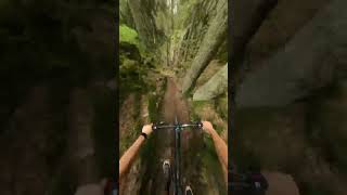 Oslo backyard trail riding with Rémy Métailler mtb romsås [upl. by Bohaty149]