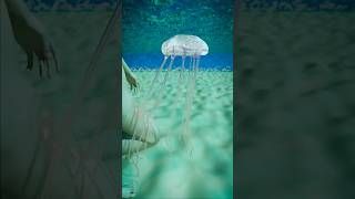 How A Jellyfish Actually Stings You 😱  Melon Playground jellyfish [upl. by Carlotta]