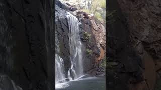 MacKenzie Falls waterfall in the Grampians  Bushwalking in Australia [upl. by Screens]