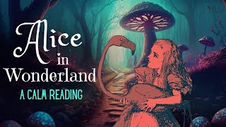 Reading of Alice in Wonderland  full audiobook  Story Reading for Sleep  Relaxing Reading [upl. by Daeriam]