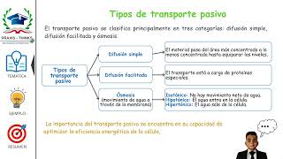 ¿Qué es el transporte activo y pasivo Domina el transporte celular en 5 minutos [upl. by Molohs]