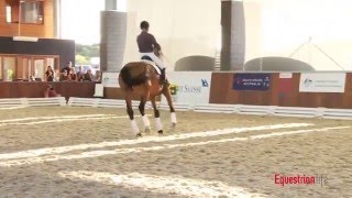 Rudolf Zeilinger and Lone Jorgensen Riding at the Credit Suisse Boneo Park Equestrian Festival [upl. by Nanerb362]