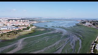 Baia do Seixal  Seixal Bay  Lisbon Portugal  Drone 4K [upl. by Micaela]