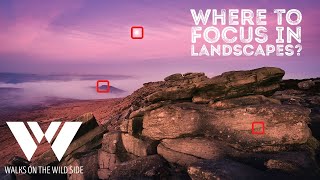 Where to focus in landscape photography [upl. by Sonafets]