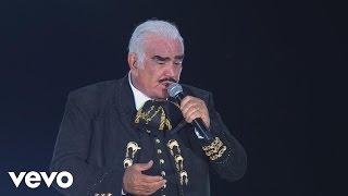 Vicente Fernández  Un Millon De Primaveras [upl. by Leugim]