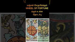 Angel Cherubim  Wheel of Fortune  senthilnathan  shorts [upl. by Volding]