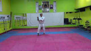 KATA SANCHIN  SHOTOKAN KARATE TRADICIONAL [upl. by Clapper506]