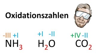 Oxidationszahlen bestimmen  Chemie Endlich Verstehen [upl. by Akemehs]