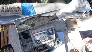 Pêches dinventaire Bassin de la Dranse de Morzine2017 [upl. by Ddart]