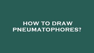 How to draw pneumatophores [upl. by Oinafipe]