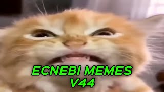 ECNEBI MEMES V44 [upl. by Rosenkranz]