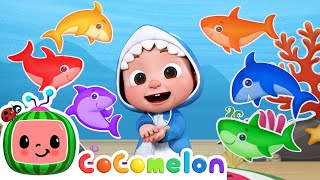 Baby Shark Learns Colors  CoComelon Nursery Rhymes amp Kids Songs [upl. by Slosberg]