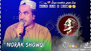 NoRAK SHOWQI ❤️new song to Pashto tapa❤️ 2024 pashtoo 100kview plz 🥰 [upl. by Kirschner]