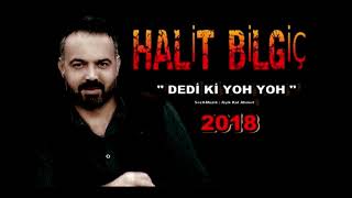 Halit Bilgiç  Dedi ki Yok Yok  Official Audio [upl. by Meehar926]