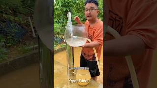 Water purifier New Viral Gadgets Smart AppliancesKitchen Utensils ome Inventions shorts gadgets [upl. by Aihsele341]