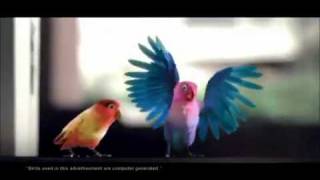 KitKat Love Birds Latest TV Ad  Aao Na Gale Lagao Na 2012 HD Videoflv [upl. by Hcirteid]