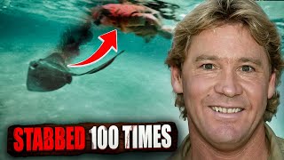 The Horrifying Last Moments Of Steve Irwin [upl. by Llenral457]