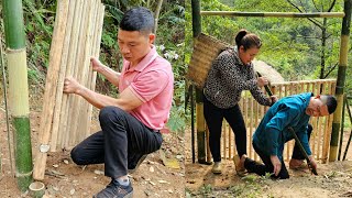 Picking lemons to sell at the market  Chuong skillfully made the house gate [upl. by Nalniuq378]