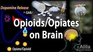 Opioids Mechanism of Action Addiction Dependence and Tolerance Animation [upl. by Joacimah205]