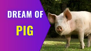 Dream About Pig  What Does Pig Dream Meaning  Pig Dream Interpretation [upl. by Anrev672]