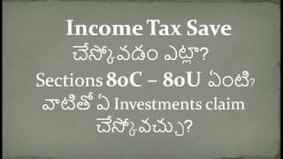 income tax deductions in telugu save income tax using sections 80C 80U tutorial tax savings [upl. by Revolc954]