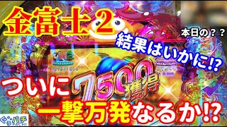 ぐぅパチ220「お待たせしました楽しい金富士2お見せします王道の海モード‼」【スーパー海物語 IN JAPAN２ 金富士199Ver】 [upl. by Ahsatel597]