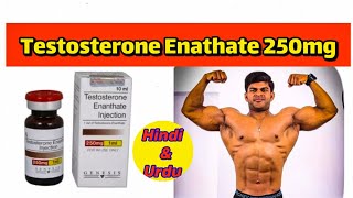 Testosterone Enathate 250mg doses  benefits Side effects Pct  full explained in Hindi amp Urdu [upl. by Mccreery]