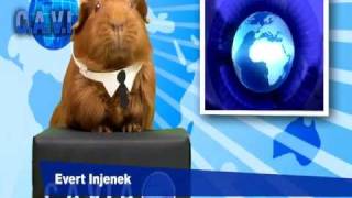 CAVIA Journaal Griekenland [upl. by Nivlag]