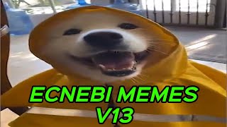 ECNEBI MEMES V13 [upl. by Klug16]