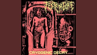 Cryogenic Decay [upl. by Enyal9]