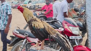 kundarapalli Friday market Krishnagiri district 🥰🥰 Biggest Friday market [upl. by Laura]