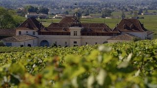 France’s SaintEmilion A red wine lover’s paradise [upl. by Bang]