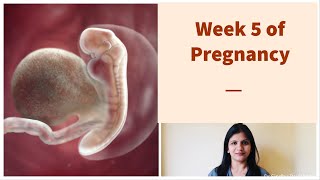 Week 5 of Pregnancy  Weekly Pregnancy Tips and Updates in Kannada [upl. by Thia]