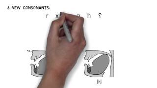 Arabic Video 2 DRAFT Consonants [upl. by Willow]