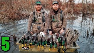 EPIC Marsh Duck Hunt on Public LandBIG groups of Mallards [upl. by Tiemroth]