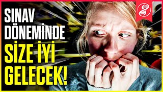 Sınavda 10 Puan Öne Geçmek İçin Bu Videoyu İzleyin [upl. by Clymer]