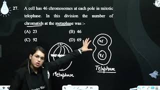 A cell has 46 chromosomes at each pole in mitotic telophase In this division the number of chro [upl. by Myranda]