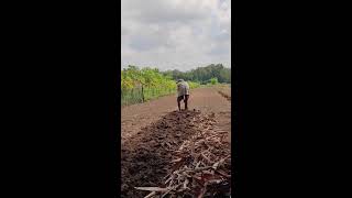 Simple interesting farming tools used by village farmers farmtools farmer agriculture [upl. by Ahtis644]