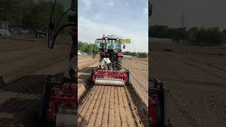 Medicinal herbs ridging machine ridging and sowing machine vegetable and medicinal herbs ridging [upl. by Enilarak]