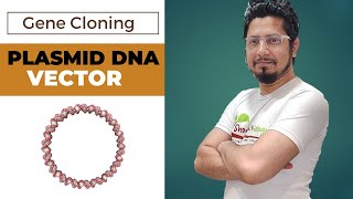 Plasmid DNA vector in gene cloning  plasmid vector  pbr322 vector  puc 19 vector [upl. by Aliam]