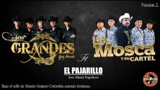 Los Grandes Del Norte Ft La Mosca Y Su Cartel  El Pajarillo Estreno 2018 Vídeo Oficial [upl. by Paulie]