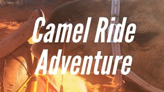 Camel Ride Adventure  ULURU [upl. by Herb256]