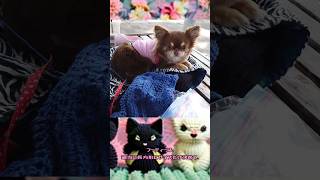 フーディ付きマフラー？マフラー付きフーディ？編んだのよ。ハンドメイド knitting crochet scarf foodie フーディー マフラー 編み物 [upl. by Llednahc]