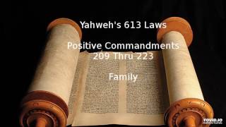 Yahweh 613 Laws Part 14  Positive Commandments 209 thru 223 [upl. by Lletram]