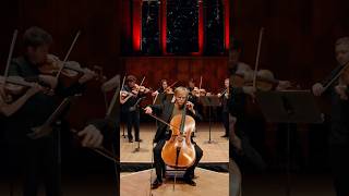 Haydn’s virtuosic cello concerto ❤️ classicalmusic [upl. by Neelloj]